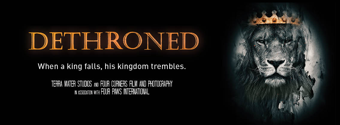 DETHRONED: when a king falls, his kingdom trembles. Terra Mater Studios and Four Corners Film and Photography in association with FOUR PAWS International