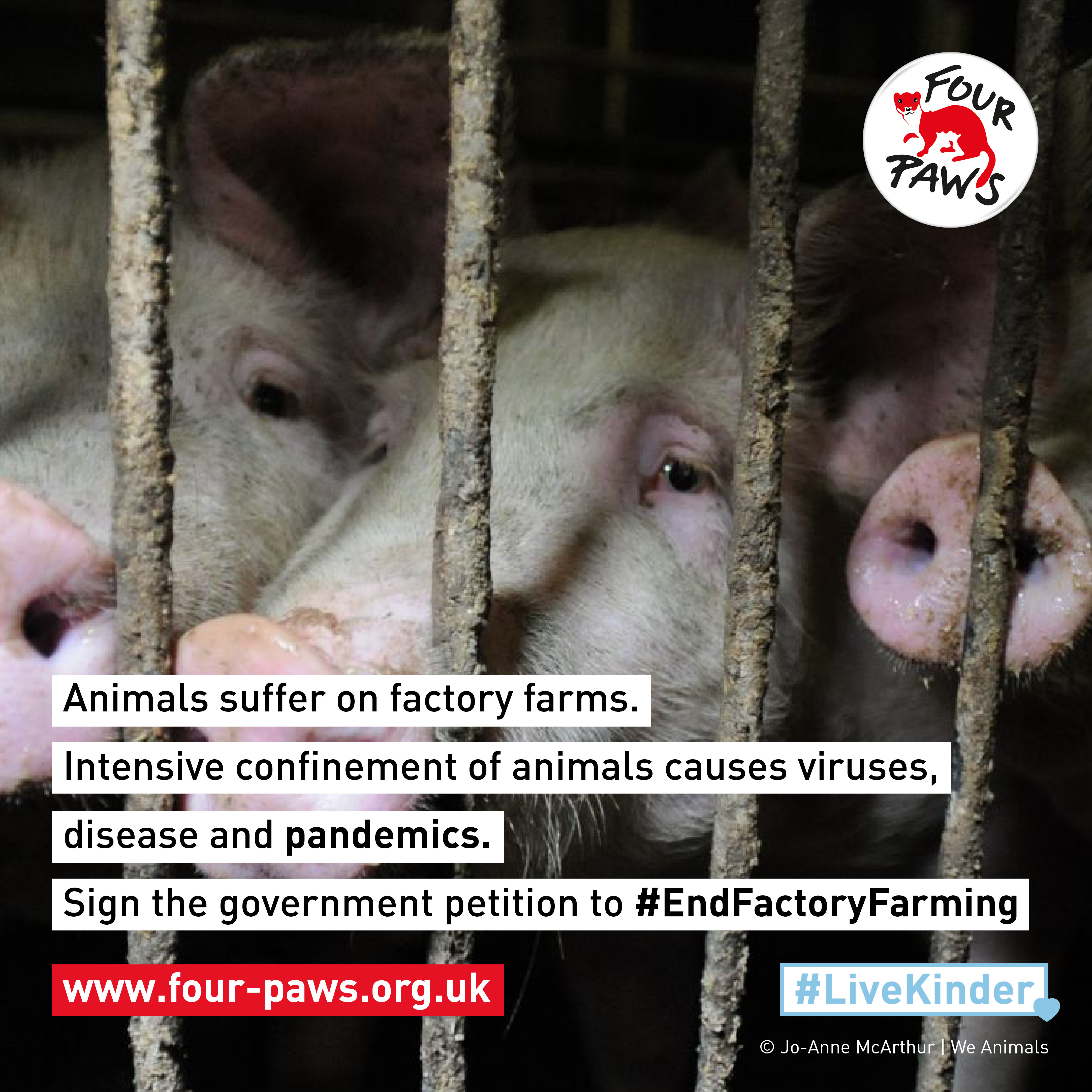 End Factory Farming 