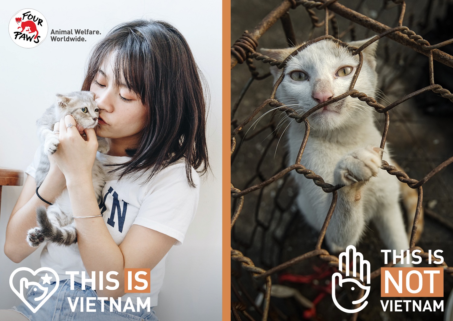 Four Paws postcard: two images, one shows a woman cuddling a cat with the slogan 'This is Vietnam', the other a cat inside a cage, with slogan 'This is not Vietnam'