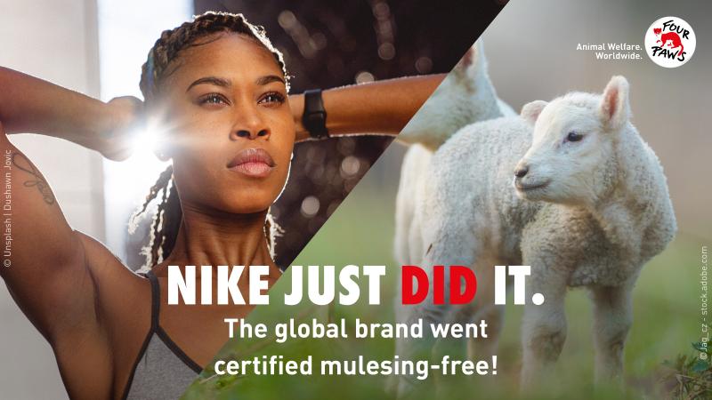 Nike just did on sale it