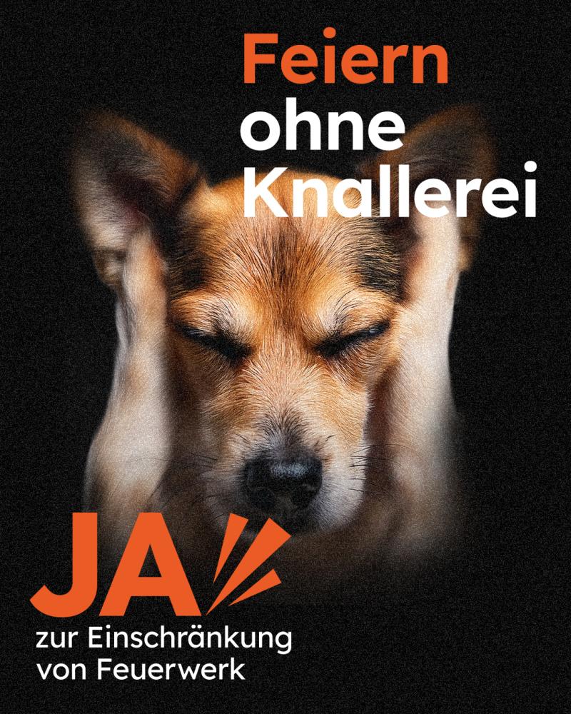 Feuerwerksinitiative in der Schweiz