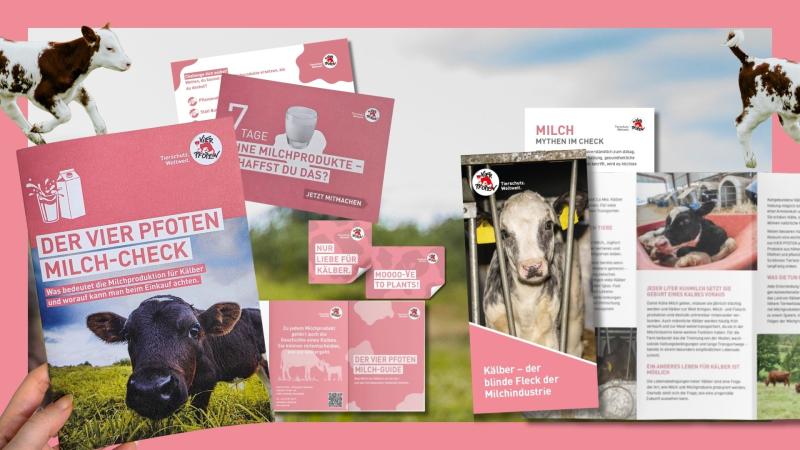 Beispielhafte Materialien aus dem Aktionspaket